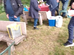 Illustration de la galerie