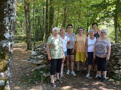 Illustration de la galerie