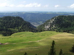 Illustration de la galerie